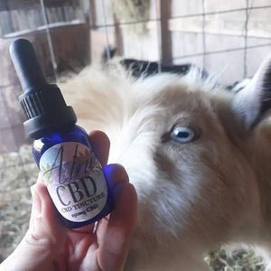 Alni CBD Oil is the G.O.A.T. ... literally!