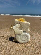 Maryland "Coastal Collection" Shower Steamers Variety Mix 3-Pack Gift Set