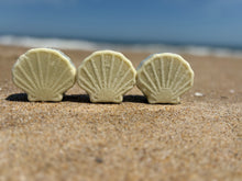 Three Seashells on a beach