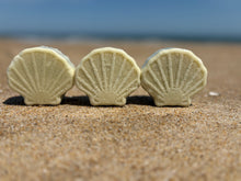 Three Seashells on a Beach 
