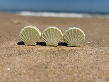 Three Seashells on a Beach