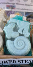 Maryland "Coastal Collection" Shower Steamers Variety Mix 3-Pack Gift Set