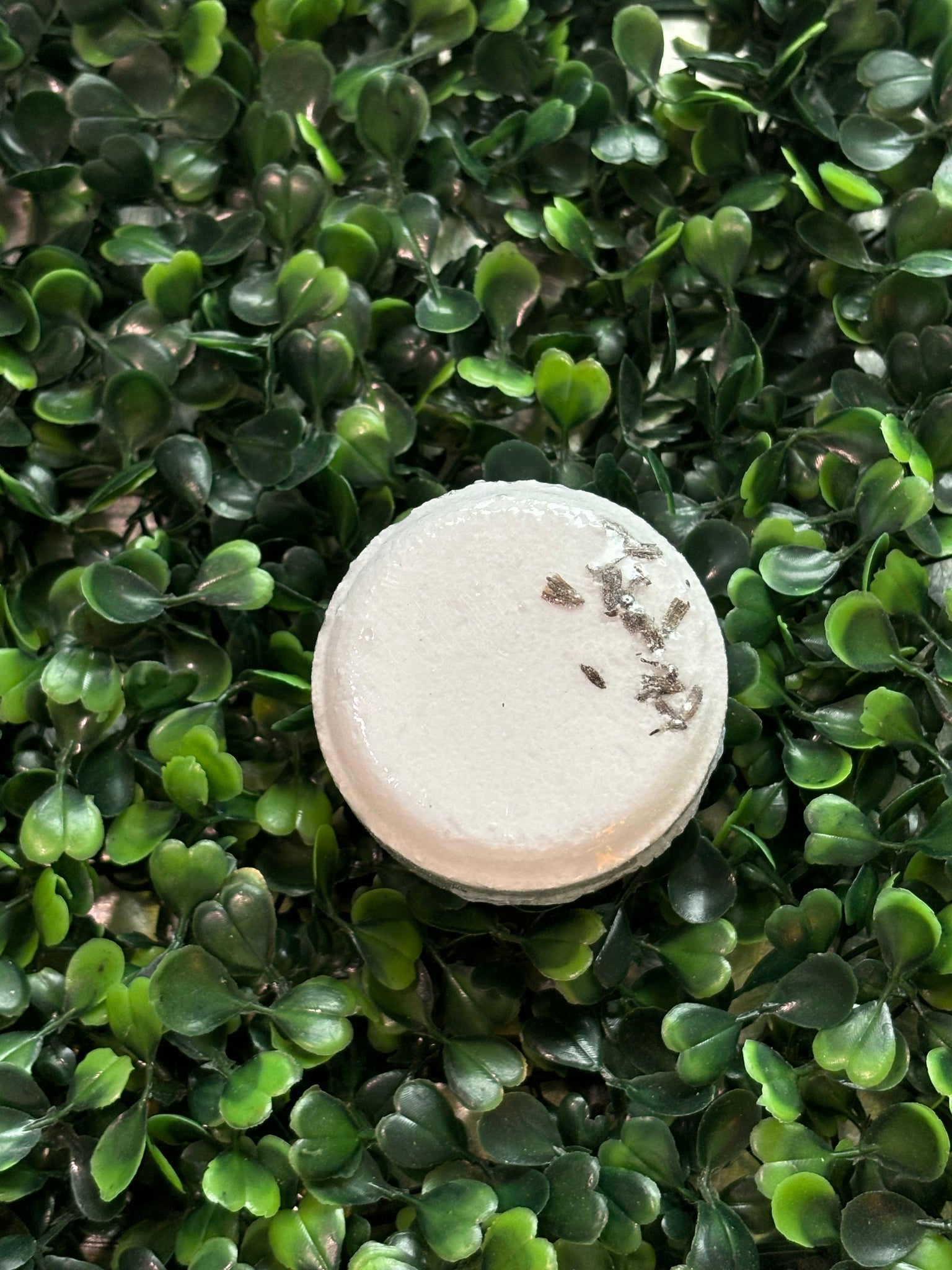 lavender shower plant 3-Pack Lavender Menthol Calming Aromatherapy Shower Steamers